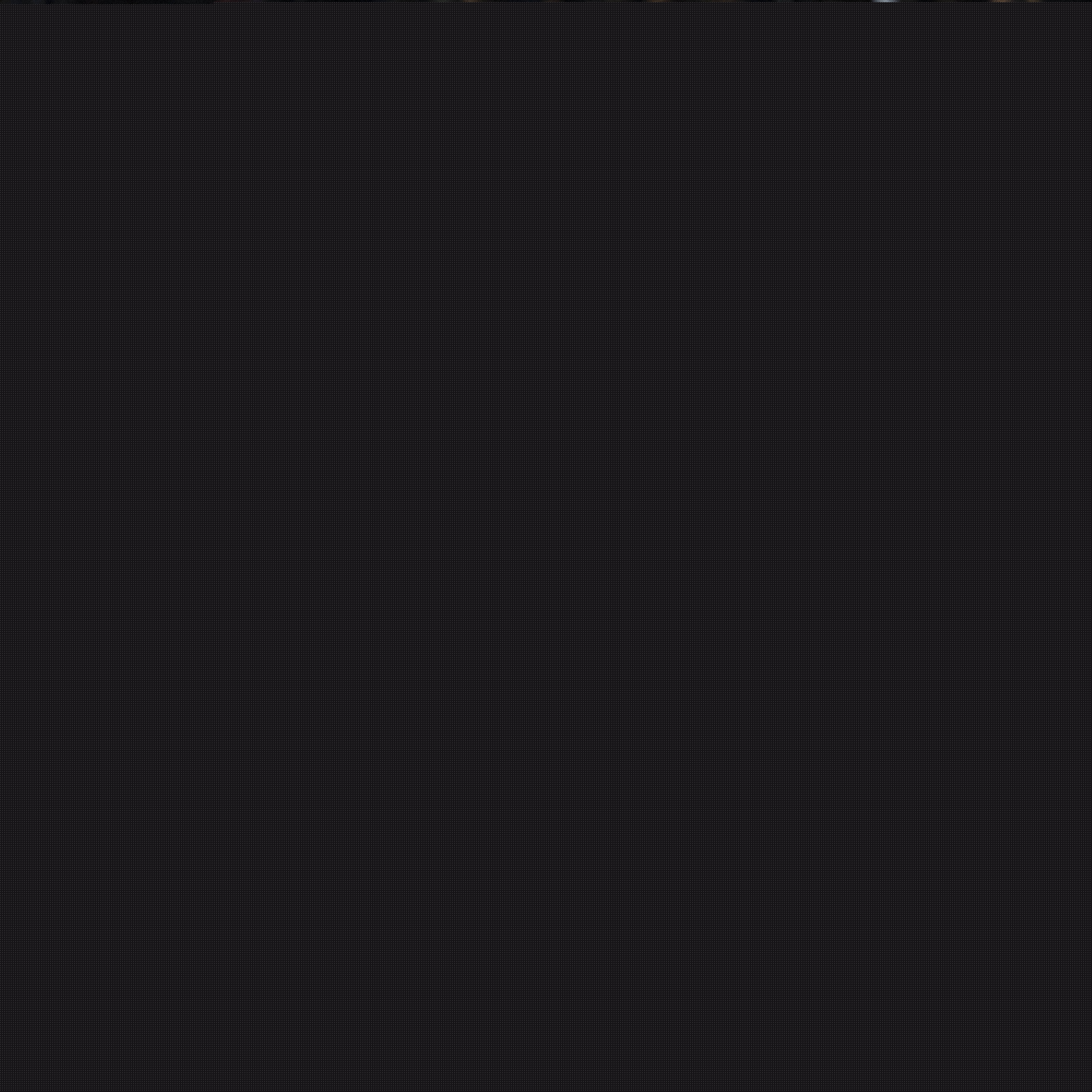 球迷中引起